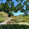 Zdjęcie z Australii - Ogrody Mt Lofty