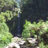 Zdjęcie z Australii - Wodospad Erskine Falls