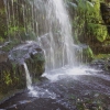 Zdjęcie z Australii - Wodospad Erskine Falls 