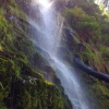 Zdjęcie z Australii - Erskine Falls Lorne