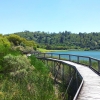 Mount Gambier