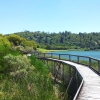 Zdjęcie z Australii - Mount Gambier