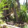 Rezerwat Marist Park