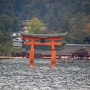 Zdjęcie z Japonii - Torii Itsukushima