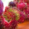 Zdjęcie z Malezji - rambutany prosto z drzewa