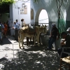 Zdjęcie z Grecji - Lindos na Rodos
