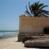 Zdjęcie z Tunezji - Sousse port El Kantaoui