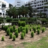 Zdjęcie z Tunezji - Sousse port El Kantaoui
