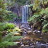 Zdjęcie z Australii - Wodospad Hopetoun Falls