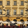 Zdjęcie z Polski - Kraków