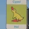 Zdjęcie z Polski - 