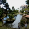 Zdjęcie z Portugalii - Monte Palace Gardens