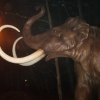Zdjęcie z Polski - Dinopark