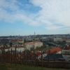 Zdjęcie z Czech - 