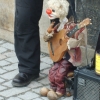 Zdjęcie z Czech - 