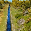 Zdjęcie z Portugalii - levada du Norte