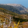 Zdjęcie z Portugalii - levada du Norte