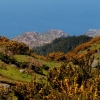 Zdjęcie z Portugalii - widoki z levada du Norte