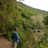 Zdjęcie z Portugalii - levada do Furado