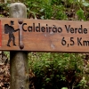Zdjęcie z Portugalii - wchodzimy na lewadę