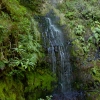 Zdjęcie z Portugalii - Caldeirao Verde