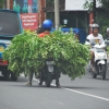 Zdjęcie z Indonezji - Motorek to podstawowy