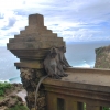 Zdjęcie z Indonezji - Uluwatu