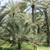 Zdjęcie z Zjednoczonych Emiratów Arabskich - 