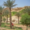Zdjęcie z Zjednoczonych Emiratów Arabskich - 