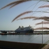 Zdjęcie z Francji - Bastia