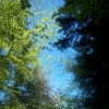 Zdjęcie z Polski - ŚWIĘTOKRZYSKI PARK 