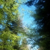 Zdjęcie z Polski - PARK