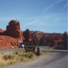 Zdjęcie ze Stanów Zjednoczonych - Dixie National Forest