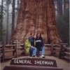 Zdjęcie ze Stanów Zjednoczonych - Park Narodowy Sequoia