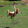 Zdjęcie z Kolumbii - Cartagena - Park
