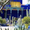 Zdjęcie z Maroka - Jardin Majorelle