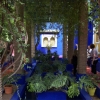 Zdjęcie z Maroka - Jardin Majorelle