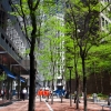 Zdjęcie ze Stanów Zjednoczonych - BOSTON