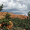 Zdjęcie ze Stanów Zjednoczonych - Red Canyon