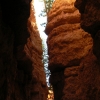 Zdjęcie ze Stanów Zjednoczonych - Bryce Canyon