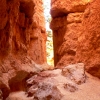 Zdjęcie ze Stanów Zjednoczonych - Bryce Canyon