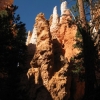 Zdjęcie ze Stanów Zjednoczonych - Bryce Canyon