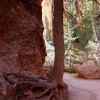 Zdjęcie ze Stanów Zjednoczonych - Bryce Canyon