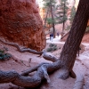 Zdjęcie ze Stanów Zjednoczonych - Bryce Canyon