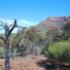 Zdjęcie z Australii - Arkaroo