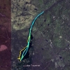 Zdjęcie z Kanady - Mapa, Algonquin Park