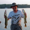 Kanada - Massasauga Park