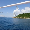 Zdjęcie z Grecji - Wyspa Skiathos i Plaża Ko