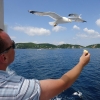 Zdjęcie z Grecji - Wyspa Skiathos i Plaża Ko
