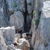 Zdjęcie z Włoch - Capri